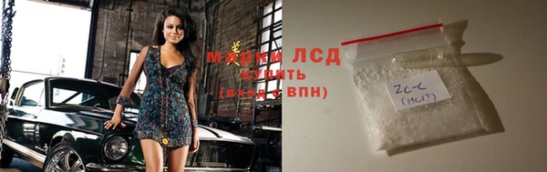 шишки Ладушкин