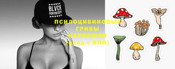 spice Кулебаки
