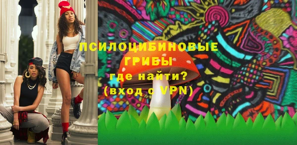 шишки Ладушкин