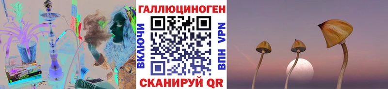 Галлюциногенные грибы ЛСД  Купить где  Суздаль 